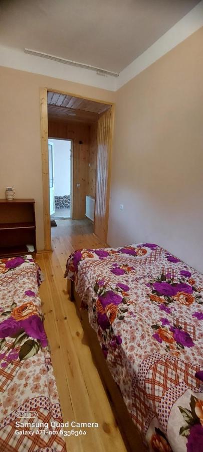 Guest House Sabauri Kazbegi Luaran gambar