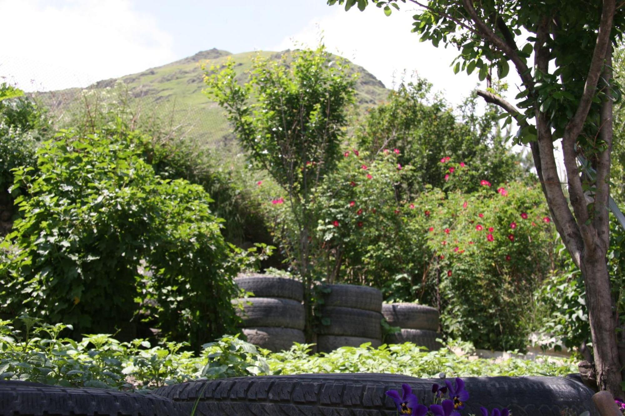 Guest House Sabauri Kazbegi Luaran gambar