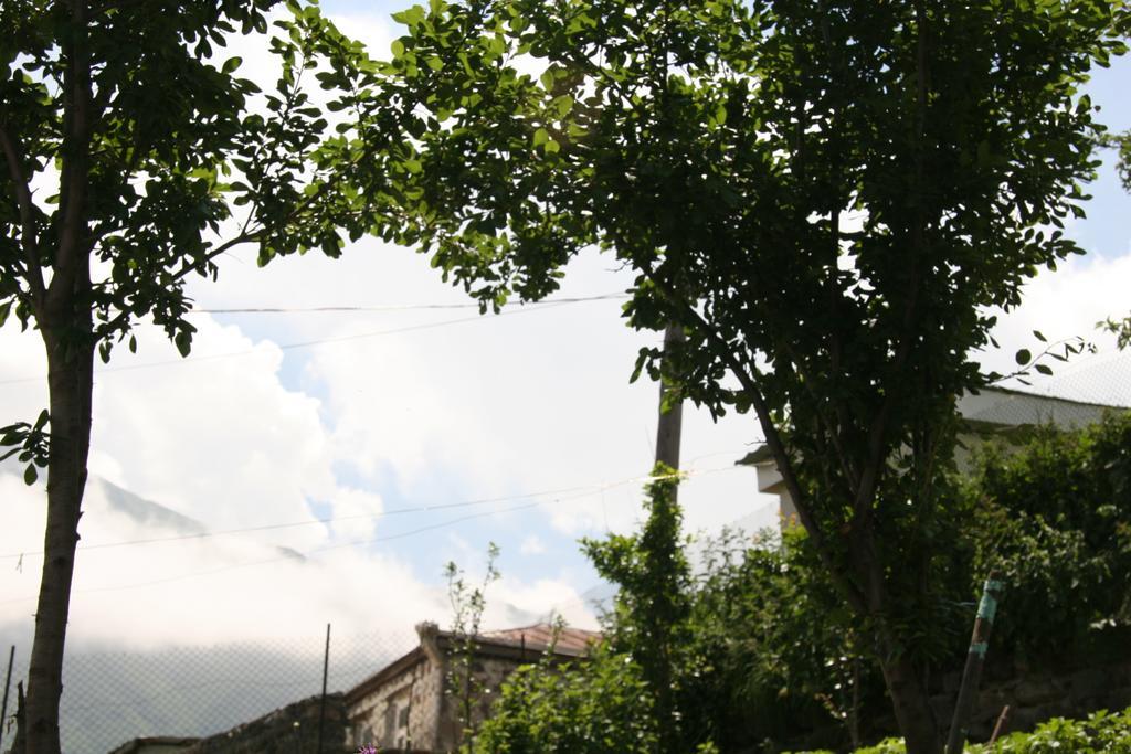 Guest House Sabauri Kazbegi Luaran gambar